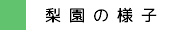 梨園の様子