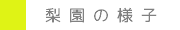 Side_yousu3