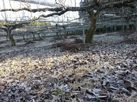 Fxcam_1354664519974
