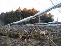 Fxcam_1356505956754