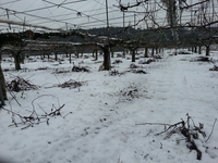 Fxcam_1360192493547