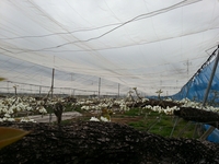 Fxcam_1366271565169