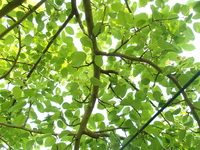 P4280481
