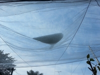 Fxcam_1367620555460