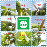 Photogrid_1367971293683