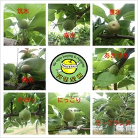Photogrid_1370487079462