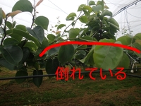 Rakugaki_20130607_0002