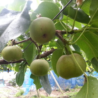 2013-06-26-06-28-36_photo