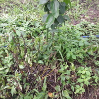 2013-07-01-16-15-40_photo