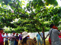 P7020001