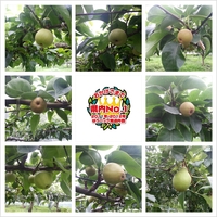 Photogrid_1373008276959