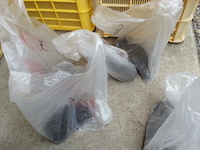 2013-07-30-11-52-52_photo