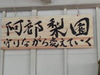 2013-07-31-14-44-20_photo