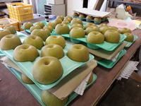2013-08-08-13-51-56_photo