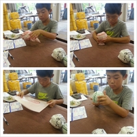 Photogrid_1376085920849