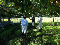 2013-08-28-10-44-29_photo