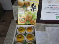 2013-08-31-11-58-20_photo