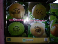 2013-09-10-05-49-32_photo