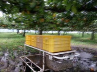 2013-09-15-08-39-20_photo