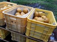 2013-09-16-09-35-05_photo