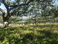 2013-10-21-09-44-04_photo