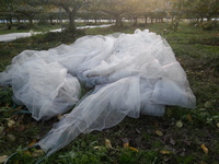 2013-11-08-16-16-46_photo