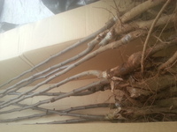 2013-11-15-09-37-53_photo