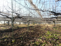 2013-12-06-10-02-43_photo