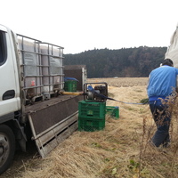 2013-12-26-12-55-40_photo