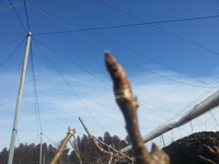 2014-02-12-14-53-48_photo