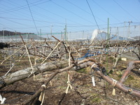 2014-02-26-09-48-05_photo
