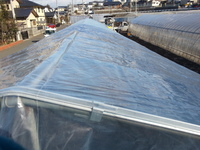 2014-03-08-08-10-52_photo