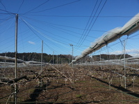 2014-03-11-08-55-05_photo
