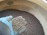2014-03-13-10-47-07_photo