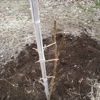 2014-03-29-09-10-33_photo