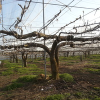 2014-04-07-16-31-08_photo