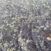 2014-04-12-08-51-08_photo