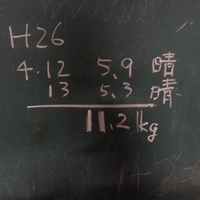 2014-04-13-17-40-07_photo
