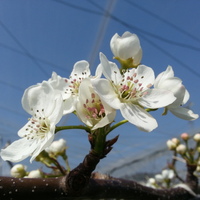 2014-04-15-09-41-18_photo