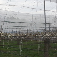 2014-04-19-16-21-51_photo