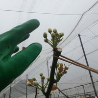 2014-04-21-09-57-49_photo