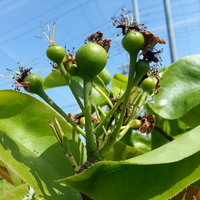 2014-05-10-09-13-00_photo