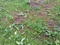 2014-05-14-06-20-11_photo