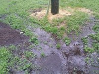2014-05-21-07-49-25_photo