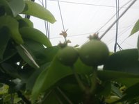 2014-05-25-11-18-20_photo