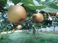 P8260083