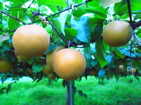 P9125317