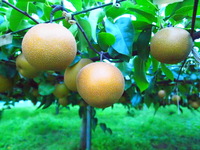 P9125318