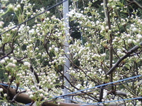 P4050015