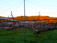 P4080019